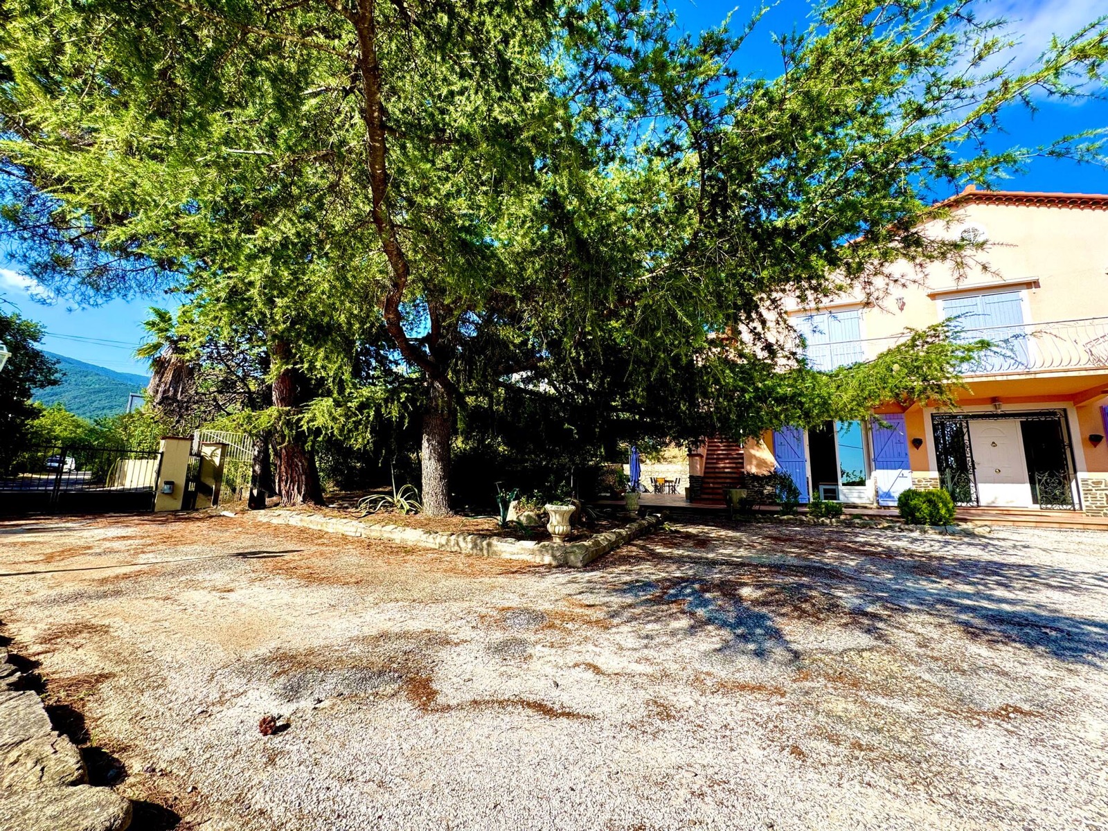 Jardin sous le cèdre centenaire