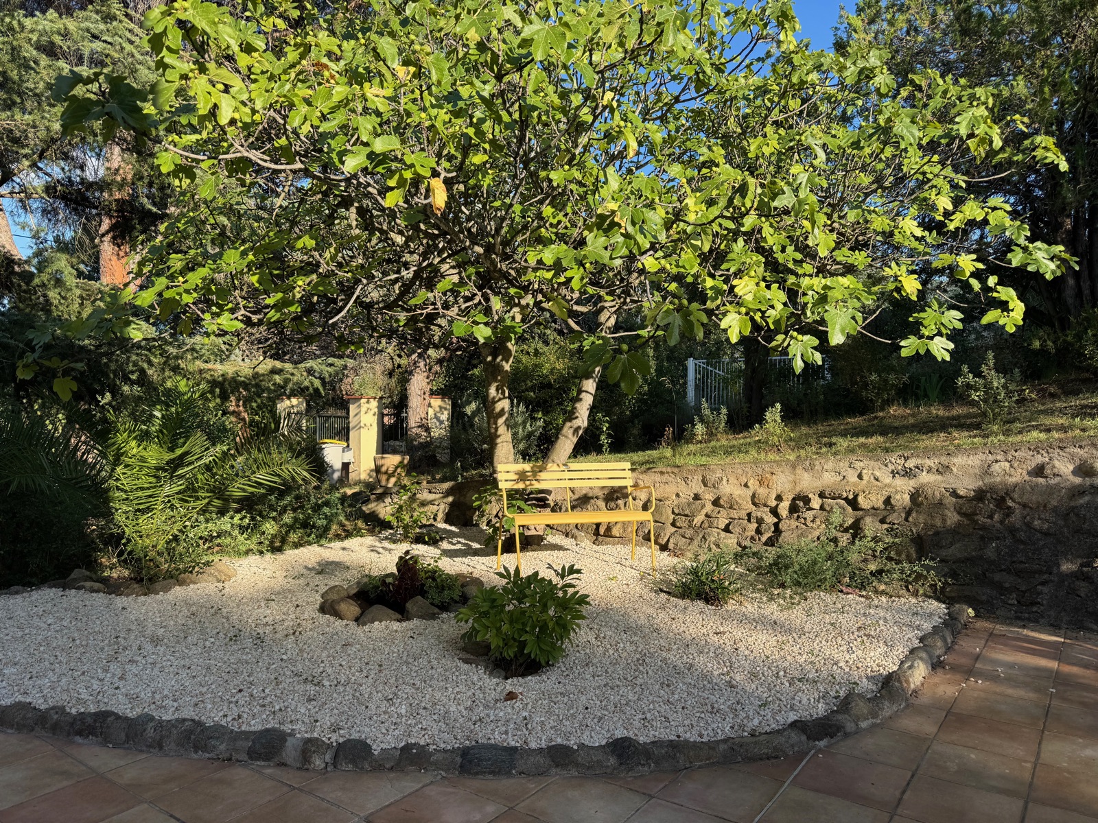 Jardin sous le figuier