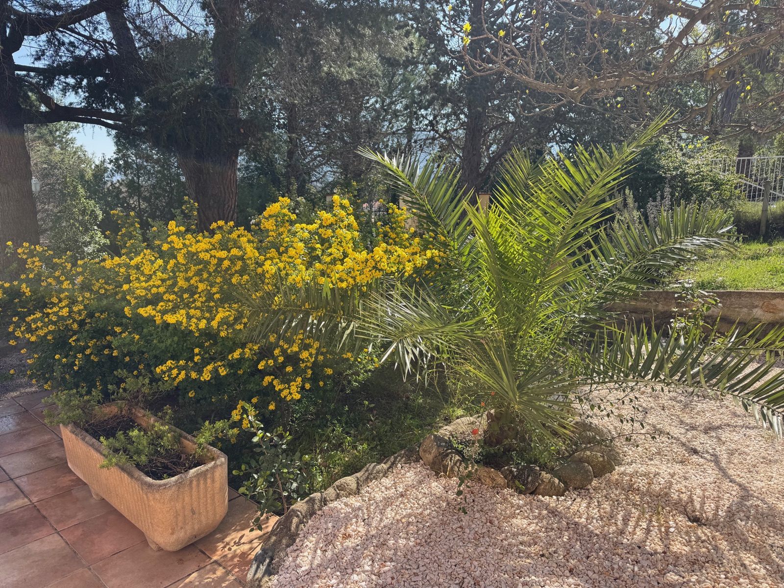 Massifs fleuris du jardin