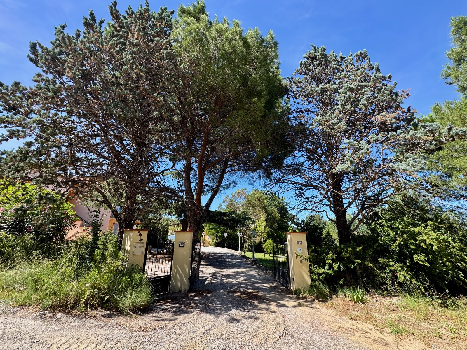 Portail d'entrée sous les pins