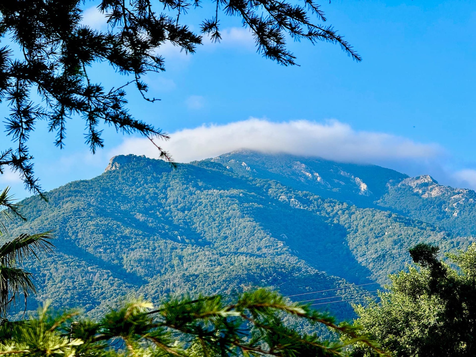 Vue sur les Albères